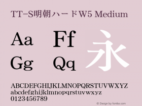 TT-S明朝ハードW5