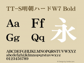 TT-S明朝ハードW7