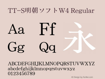 TT-S明朝ソフトW4