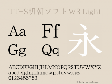 TT-S明朝ソフトW3