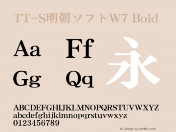 TT-S明朝ソフトW7