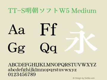 TT-S明朝ソフトW5