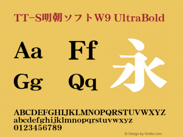 TT-S明朝ソフトW9