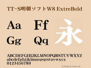 TT-S明朝ソフトW8