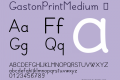 GastonPrintMedium