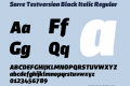 Sarre Testversion Black Italic