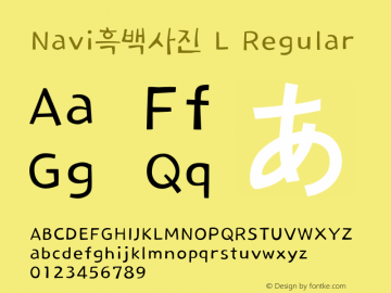 Navi흑백사진 L