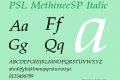 PSL MethineeSP