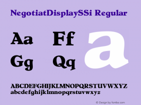 NegotiatDisplaySSi