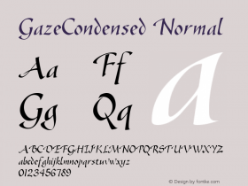 GazeCondensed