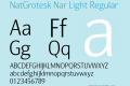 NatGrotesk Nar Light