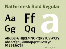 NatGrotesk Bold