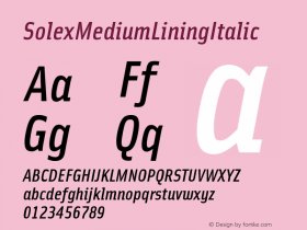 SolexMediumLiningItalic