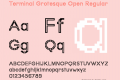 Terminal Grotesque Open