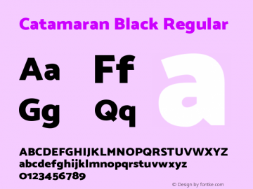 Catamaran Black