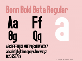 Bonn Bold
