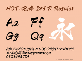 HOT-忍者 Std R