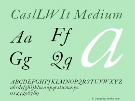 CaslLWIt