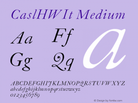 CaslHWIt