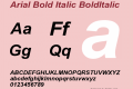 Arial Bold Italic