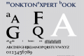 MonktonExpert