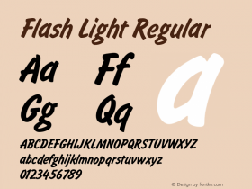 Flash Light