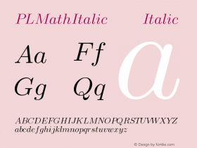 PLMathItalic12