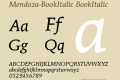 Mendoza-BookItalic