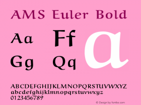 AMS Euler