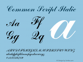 Common Script