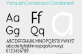 VanquishCondensed