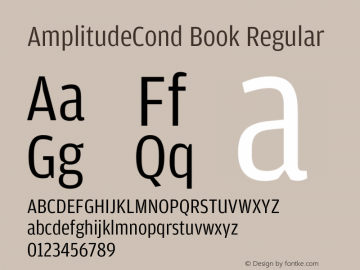 AmplitudeCond Book