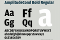 AmplitudeCond Bold