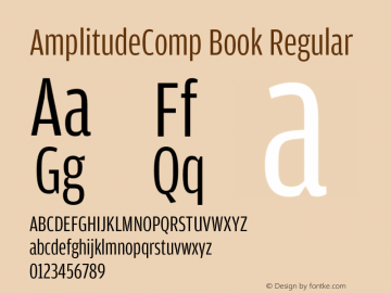 AmplitudeComp Book
