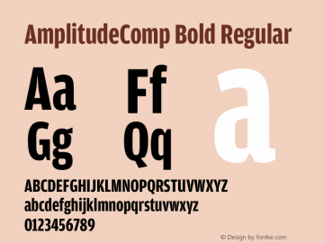 AmplitudeComp Bold