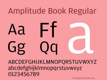 Amplitude Book