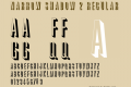 Narrow Shadow 2