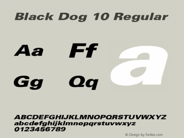 Black Dog 10