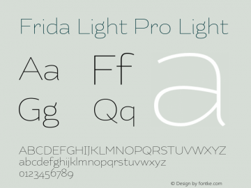 Frida Light Pro