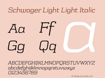 Schwager Light