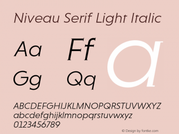 Niveau Serif Light