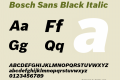 Bosch Sans Black