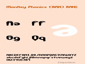 Monkey Phonics (BRK)