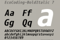 EcoCoding-BoldItalic