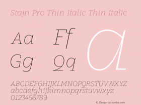 Stajn Pro Thin Italic