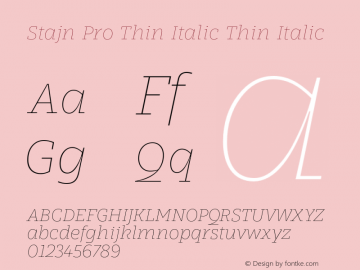 Stajn Pro Thin Italic