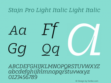 Stajn Pro Light Italic