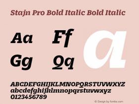 Stajn Pro Bold Italic