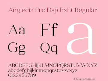 Anglecia Pro Dsp ExLt