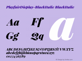 PlayfairDisplay-BlackItalic